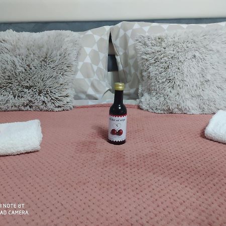 Apartman Studio Pavle I Petra 스렘스키카를로브치 외부 사진