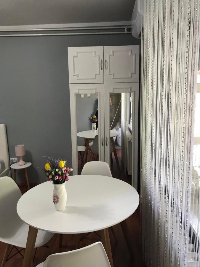 Apartman Studio Pavle I Petra 스렘스키카를로브치 외부 사진