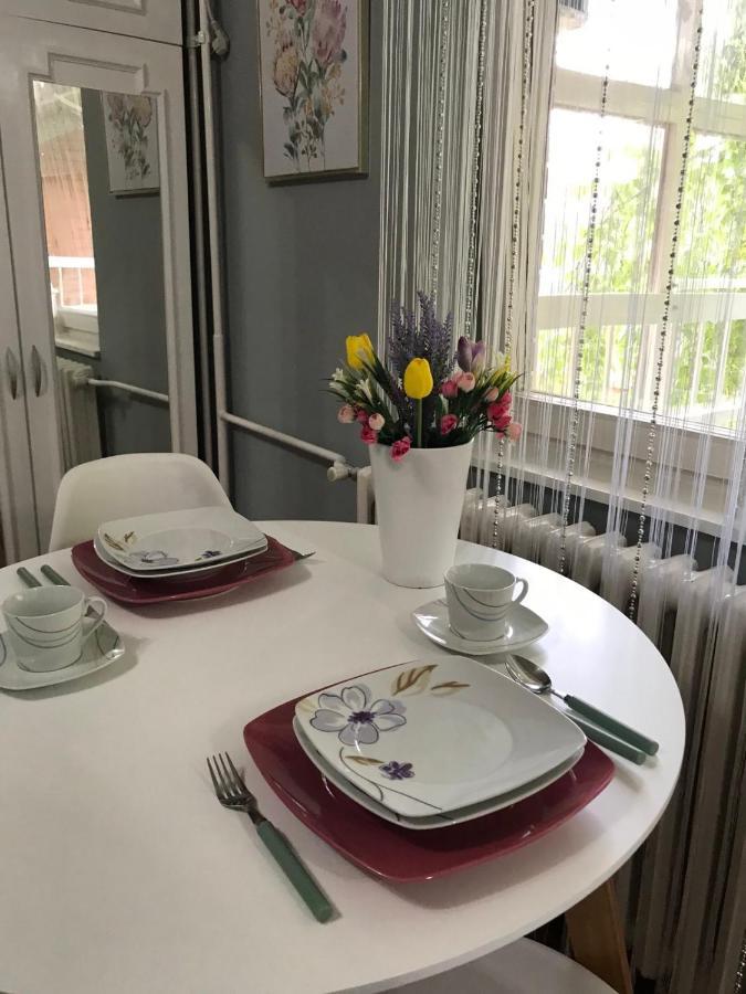 Apartman Studio Pavle I Petra 스렘스키카를로브치 외부 사진