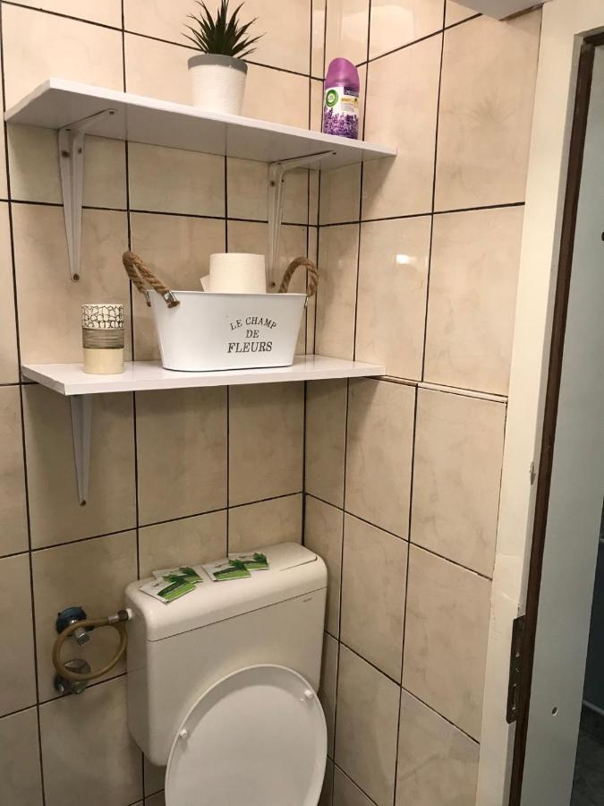 Apartman Studio Pavle I Petra 스렘스키카를로브치 외부 사진