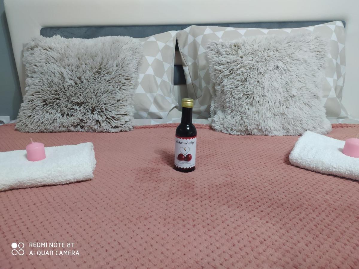 Apartman Studio Pavle I Petra 스렘스키카를로브치 외부 사진