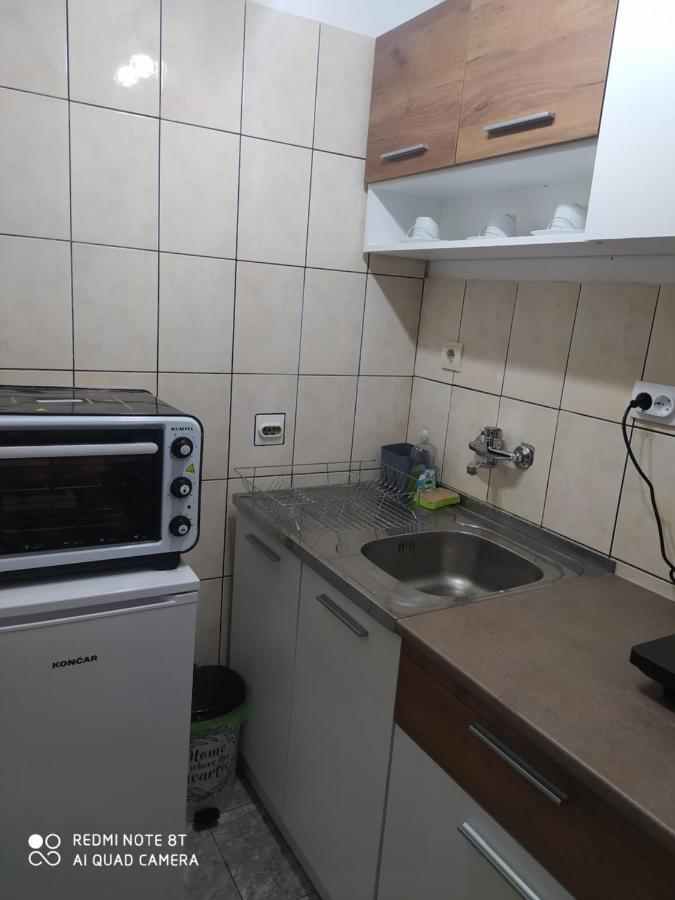 Apartman Studio Pavle I Petra 스렘스키카를로브치 외부 사진